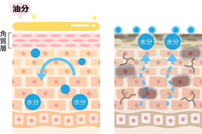 乾燥シーズンのケア